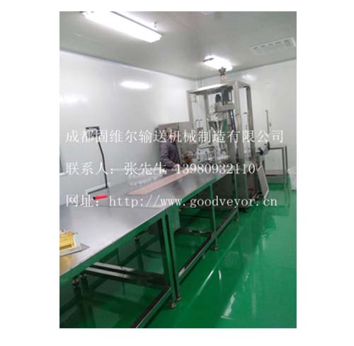 塑料网带式链板输送输送线